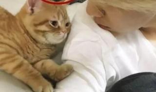 怎样打自己的隐私